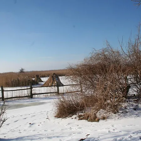 Boddenblick Fw Marlen Wustrow (Fischland)