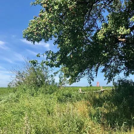 Hébergement de vacances Boddenblick Fw Marlen Wustrow (Fischland)
