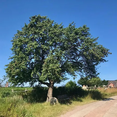 Boddenblick Fw Marlen Сasa de vacaciones Wustrow (Fischland)
